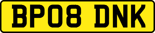 BP08DNK