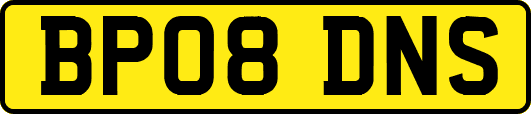 BP08DNS