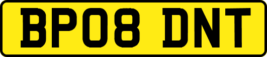 BP08DNT