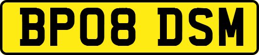 BP08DSM