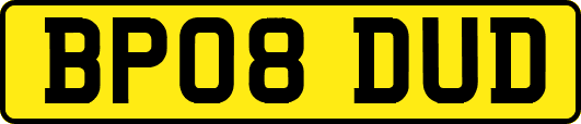 BP08DUD