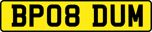 BP08DUM