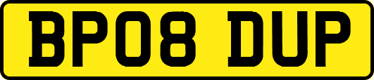 BP08DUP