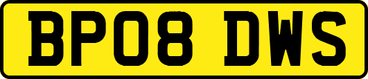 BP08DWS