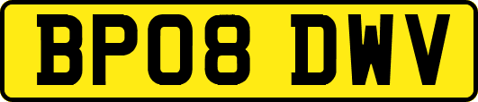BP08DWV