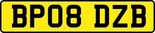 BP08DZB