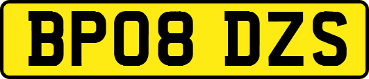 BP08DZS