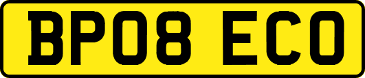 BP08ECO