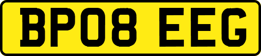BP08EEG