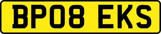 BP08EKS