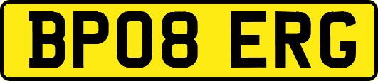 BP08ERG