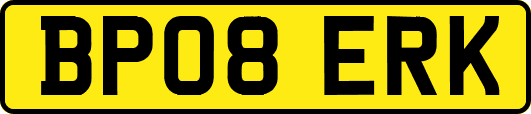 BP08ERK