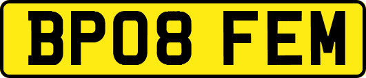 BP08FEM