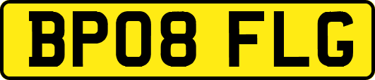 BP08FLG
