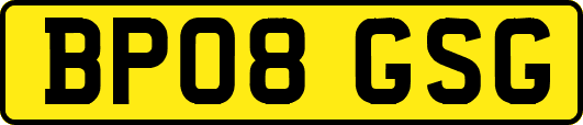 BP08GSG
