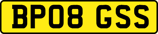 BP08GSS
