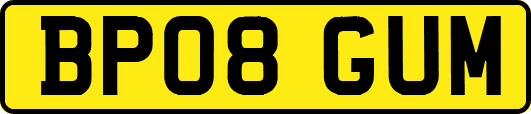 BP08GUM