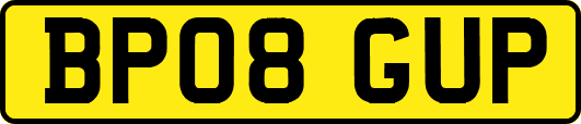 BP08GUP