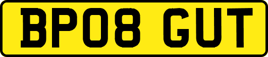 BP08GUT