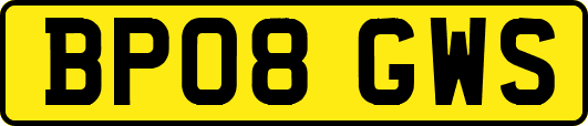 BP08GWS