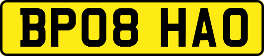 BP08HAO