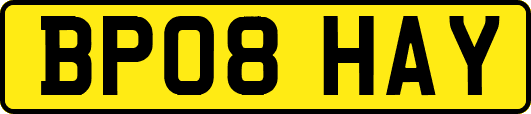 BP08HAY