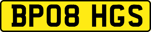 BP08HGS