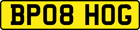 BP08HOG