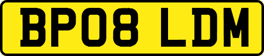 BP08LDM