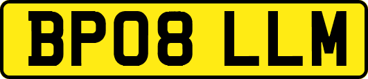 BP08LLM