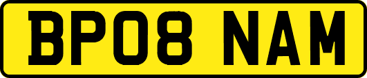 BP08NAM