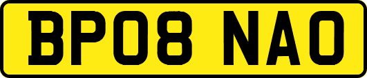 BP08NAO