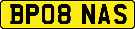 BP08NAS