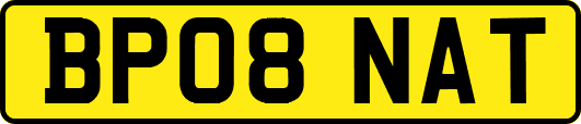 BP08NAT