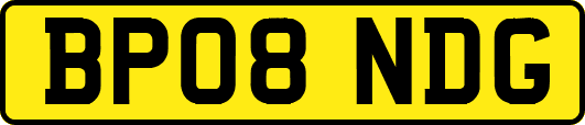 BP08NDG