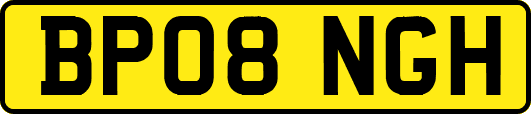 BP08NGH