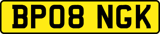 BP08NGK