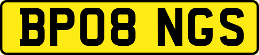 BP08NGS