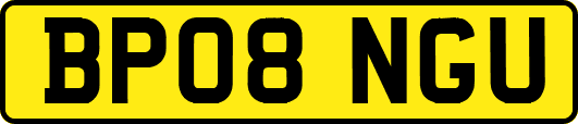 BP08NGU