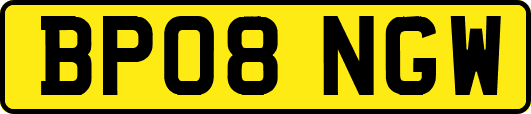 BP08NGW