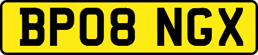 BP08NGX