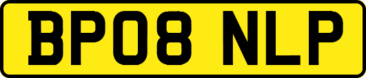 BP08NLP