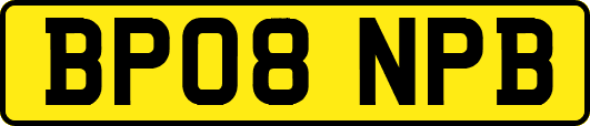 BP08NPB