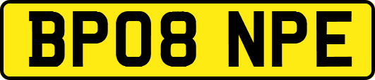 BP08NPE