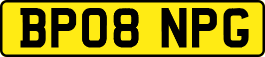 BP08NPG