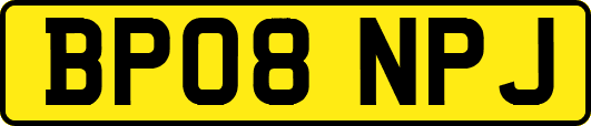 BP08NPJ