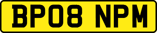 BP08NPM