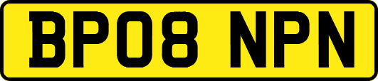 BP08NPN