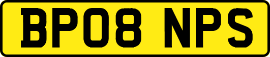 BP08NPS