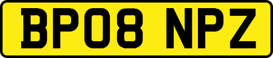 BP08NPZ